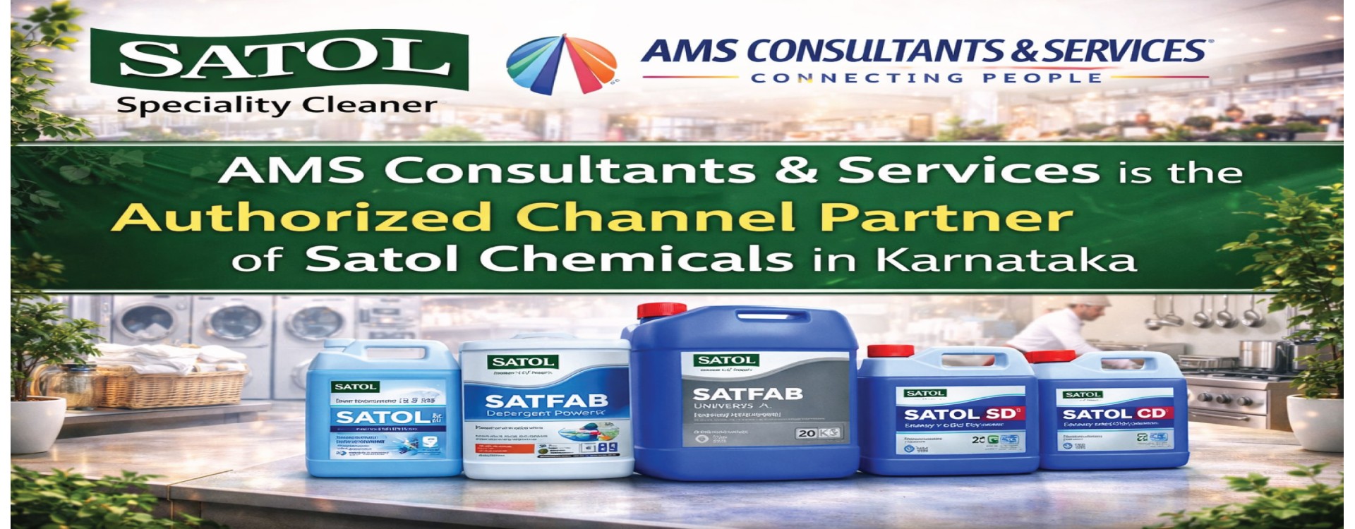 AMS Consultants & Services